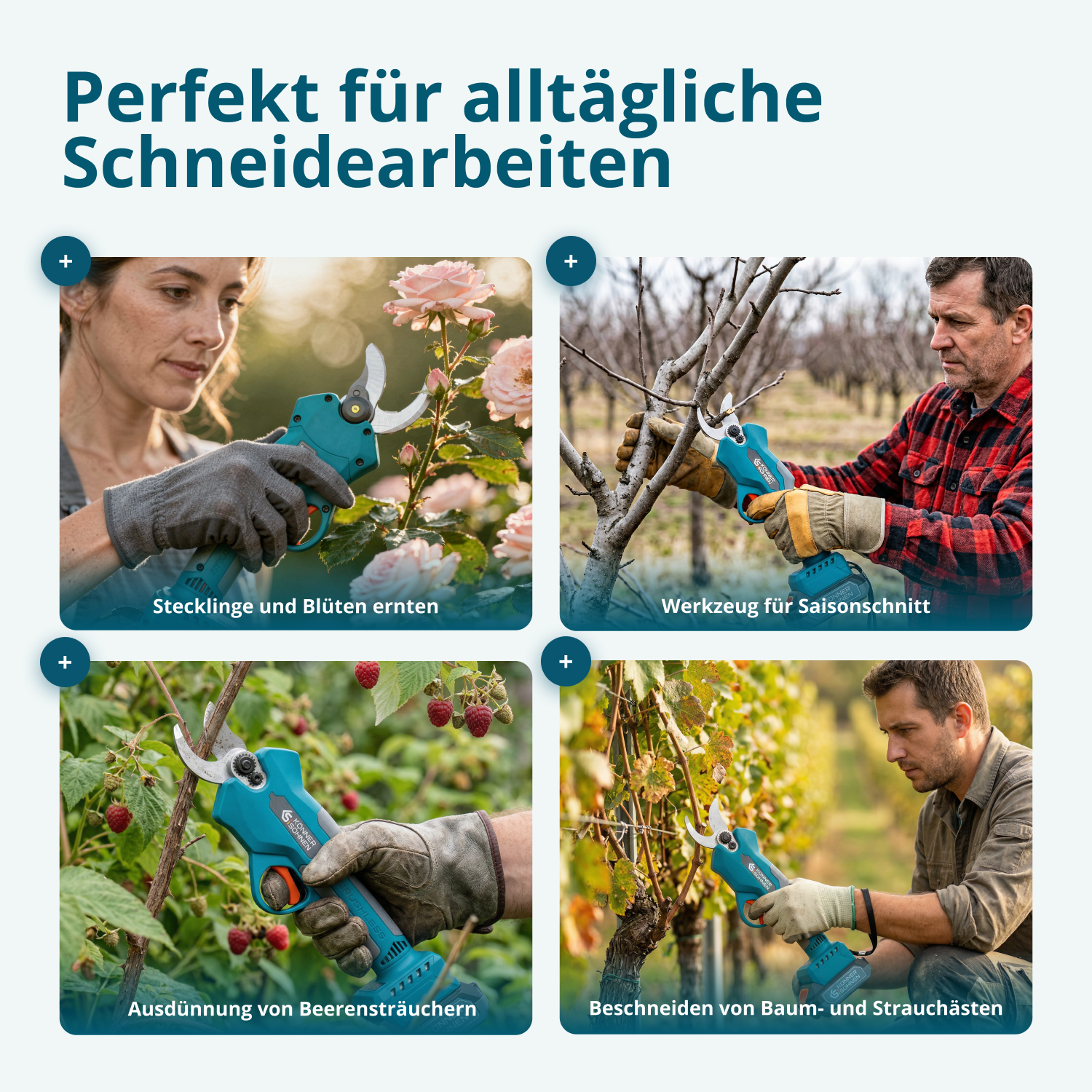 Promotionsset für den Zuschnitt KS MCS-CSP-SET