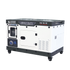 Generatore diesel KS 16-1E, imagine 13
